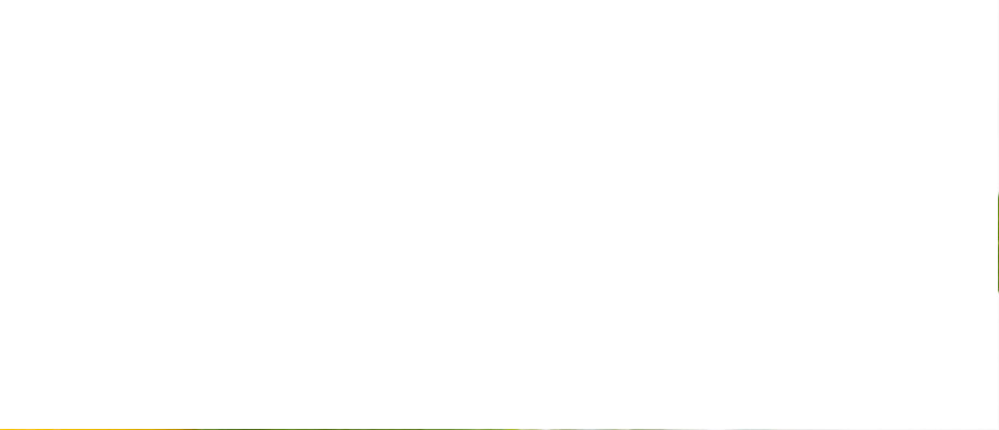 新竹當舖,新竹汽車借款